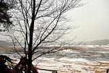 Echo Ponds In Winter