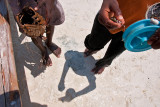 Local Kids Fishing