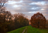 Path With Puddles