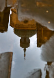 Puddle Reflection