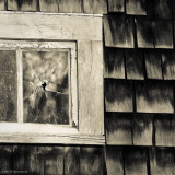 Old Window