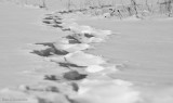 Day 027 - The path