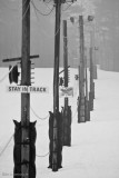 Day 043 - Misty Ski Hill