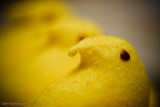 Day 94 - Peeps