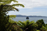 Te Whanganui-A-Hei Marine Preserve