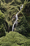 Fox Glacier