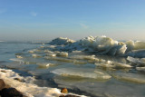Dutch winter