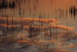 sunset.jpg