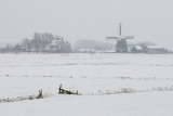  Winter   Windmill