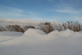Snow-dunes - sneeuwduinen