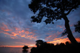 DSC_3270 chobe rivercamp.jpg