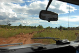 DSC_3231 chobe 72.jpg