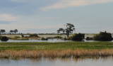DSC_4447 caprivi 72.jpg