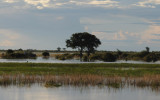 DSC_4448 caprivistrook 72.jpg