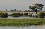 DSC_4449 caprivistrook 72.jpg