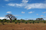 IMG_2511 chobe.jpg
