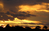 IMG_2544 sunset 100.jpg