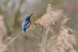 DSC_3571 02 pbase.jpg