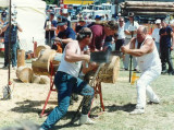 David and Peter race a chainsaw,--and win.