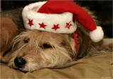 zzzzzz zzzzzz
