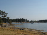 99NewcastleMoorageSetting.jpg