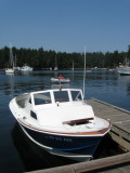 A104NewcastleScoterC.jpg