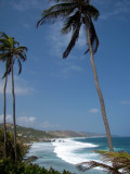 Cte Atlantique de la Barbade balaye par les vents