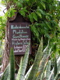Balenbouche Estate