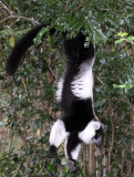 PRIMATE - _E (25).JPG