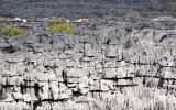 ANKARANA NATIONAL PARK MADAGASCAR - TSINGY FOREST (38).JPG