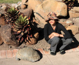 REPTILE - TORTOISE - LEOPARD TORTOISE - STIGMOCHELYS PARDALIS - KAROO NATIONAL PARK SOUTH AFRICA (11).JPG