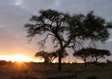 BOTSWANA - KHWAI CAMP SUNRISE - OKAVANGO (7).JPG