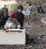 MUSTELID - FISHER RELEASE JAN 2008 - OLYMPIC NATIONAL PARK