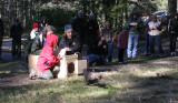 MUSTELID - FISHER RELEASE JAN 2008 - OLYMPIC NATIONAL PARK