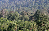 KHAO YAI NATIONAL PARK THAILAND - 2008 - SCENES FROM THE EAST SIDE OF THE PARK (6).JPG