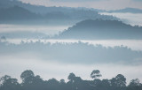 DANUM VALLEY BORNEO - SUNRISE OVER THE DANUM (31).JPG