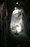 GAMONTONG CAVES BORNEO (8).JPG