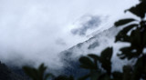 PERU - ANDES - CLOUD FOREST - HEADING TO AMAZONA D.jpg