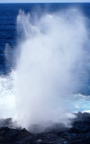 GALAPAGOS - BLOW HOLE.jpg