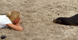 PINNIPEDS - GALAPAGOS SEALION D.jpg