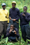 PRIMATE - GORILLA-RWANDA PARC DU VULCANS (96).jpg