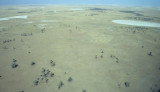 KALAHARI - SALT PAN GRASSLAND.jpg