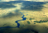 OKAVANGO 1A.jpg