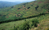 RWANDA COUNTRYSIDE 1.jpg