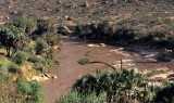 SHABA - RIVERINE HABITAT.jpg