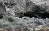 KURIL ISLANDS - Iturup Volcano on Iturup Island (7).jpg