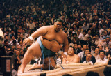 TOKYO - SUMO FIGHTS - 1985 (5).jpg