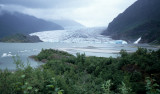 ALASKA - JUNEAU - MENDELSON GLACIER B.jpg