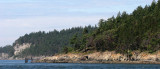 WASHINGTON - SAN JUAN ISLANDS - LOPEZ ISLAND FOREST (2).JPG