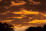 ARIZONA - MADERA CANYON - RESEARCH - SUNSET B.jpg